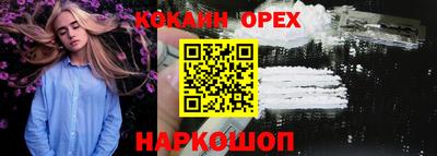прущие грибы Будённовск