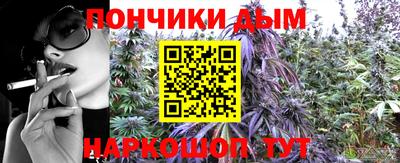 прущие грибы Будённовск