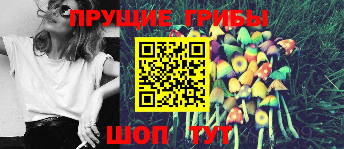 Псилоцибиновые грибы Magic Shrooms  Вход с VPN  Псилоцибиновые грибы ЛСД  Белая Калитва 